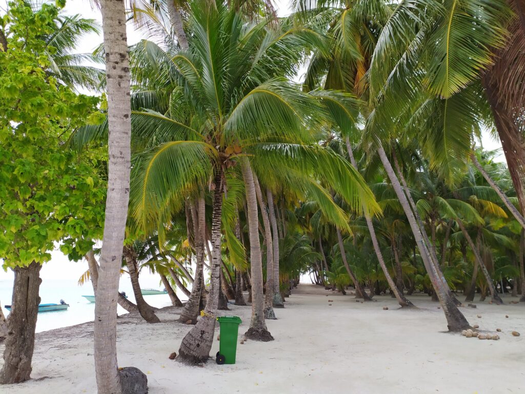 ilm36-1 - Island Life Maldives