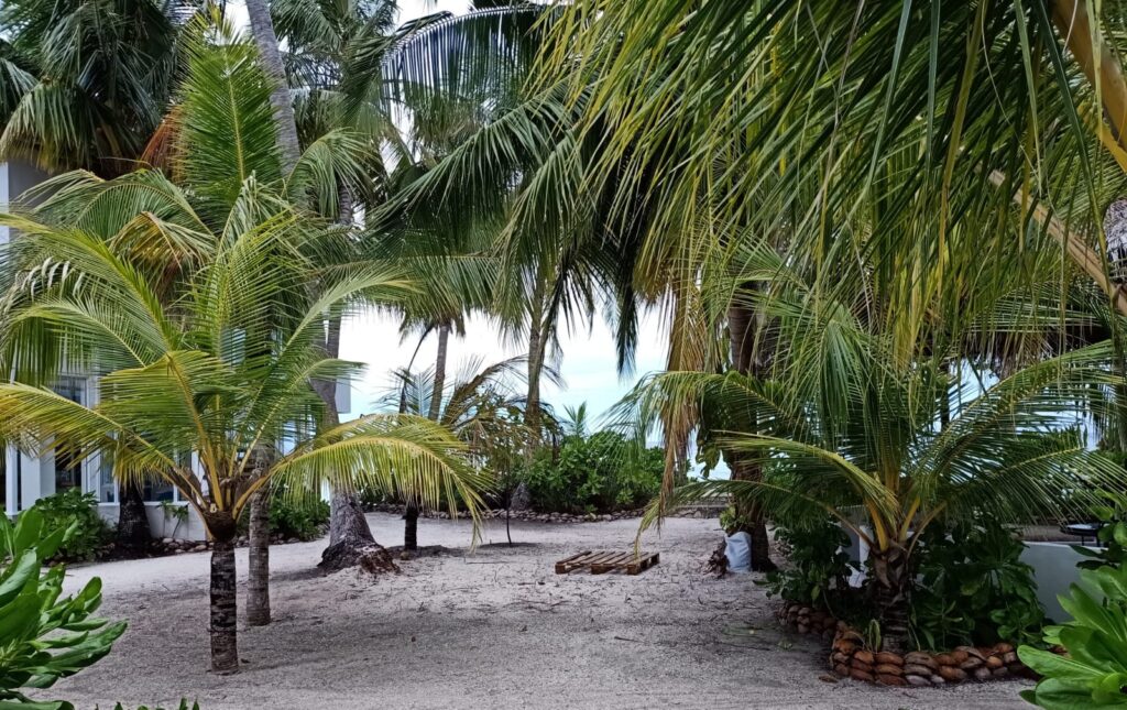 01E1B09A-E083-45A7-A11E-F85174F48F59 - Island Life Maldives