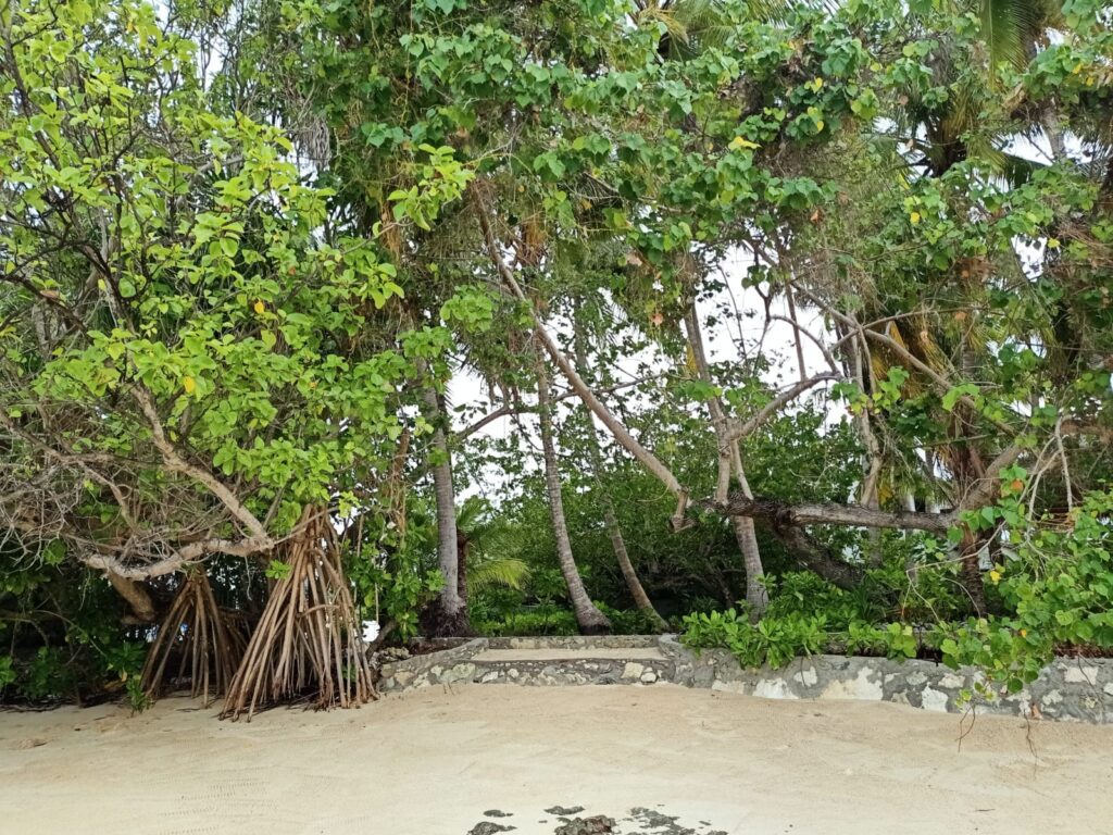PHOTO-2022-06-30-10-24-21 - Island Life Maldives