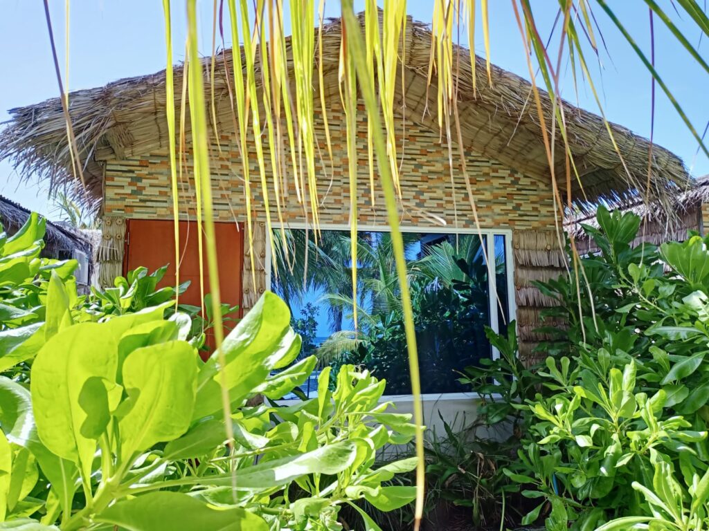 PHOTO-2023-02-02-21-46-57-2-1 - Island Life Maldives